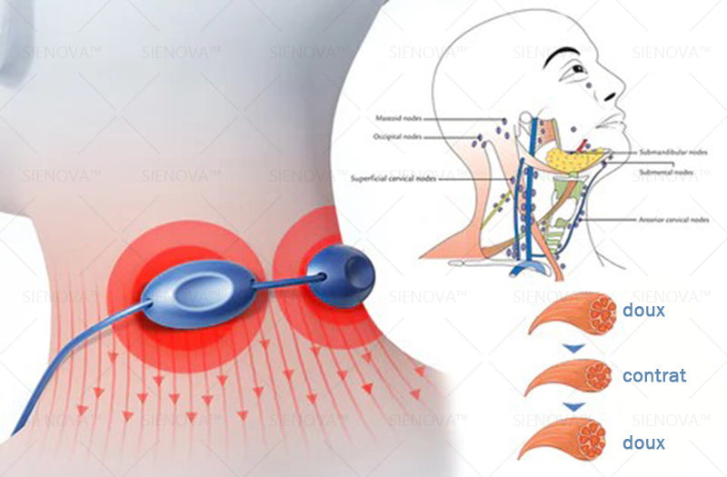 ✨ HEATWOLF® Ultrasonic RF Fat Reduction, Lymphatic Detox & Skin-Tightening Body Care Device——Wearable Care for Fat Reduction, Lymphatic Drainage, Inflammation Relief, Skin Tightening & Muscle Comfor（美国）